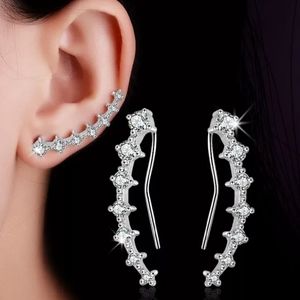 925 SS zircon earrings nwt